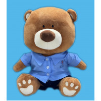 Teddy Bear - Secondary (Boy)