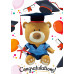 Graduation Teddy Bear (Primary)